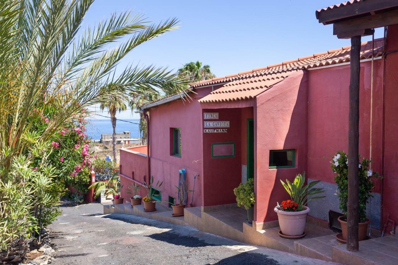 La Gaviota - Maxi Appartement *